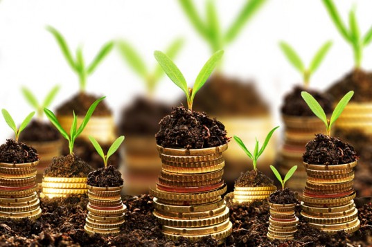 Il 2014 sarà l’anno della Finanza Verde?