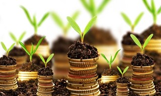 Il 2014 sarà l’anno della Finanza Verde?