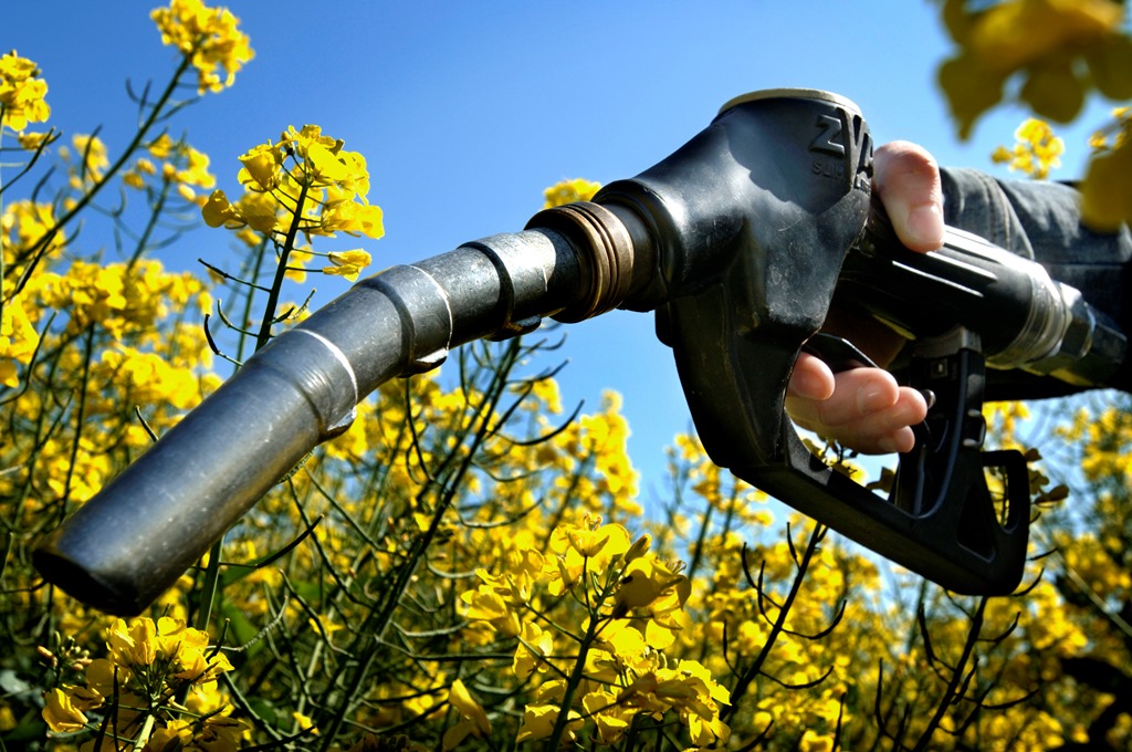L'Europa verso una nuova generazione di biocarburanti
