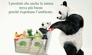 Coop, quasi 500 prodotti a marchio verde