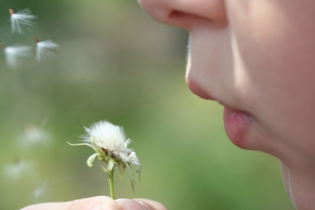 Asma, stili di vita sani riducono del 70% l'uso dei farmaci