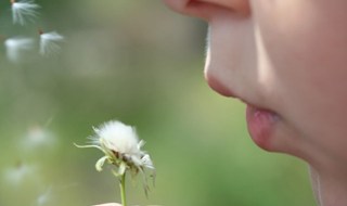 Asma, stili di vita sani riducono del 70% l'uso dei farmaci