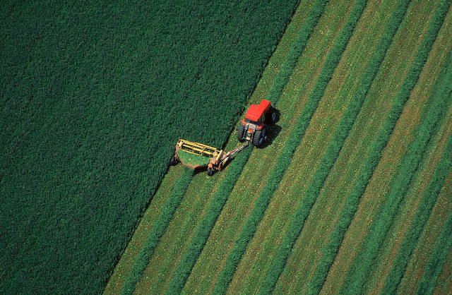 Sicurezza alimentare? A rischio anche per consumo suolo