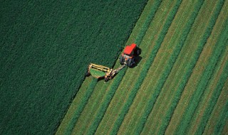 Sicurezza alimentare? A rischio anche per consumo suolo