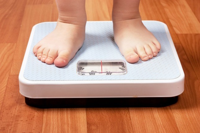 Anche lo smog pesa sull’obesità infantile