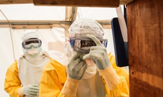 Ebola: a rischio anche la biodiversità