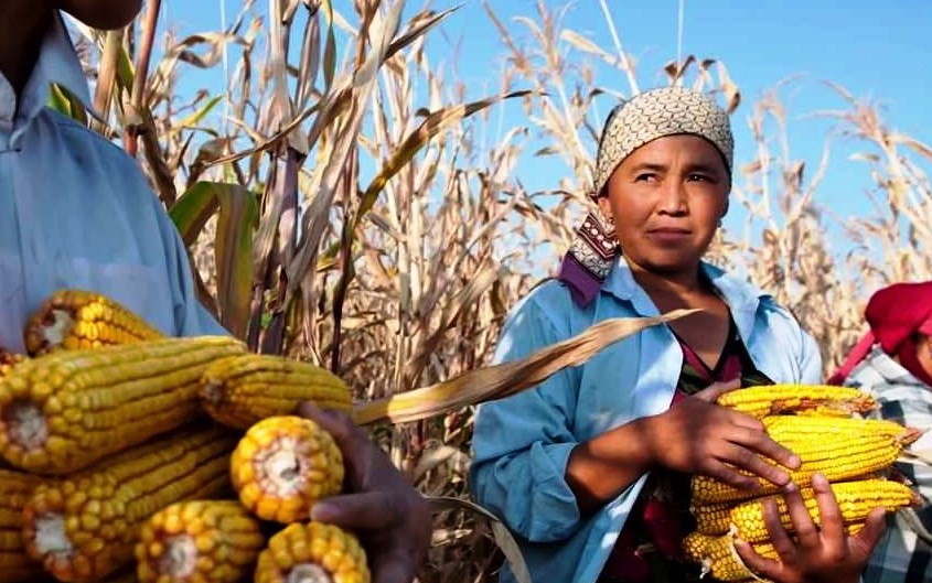 FAO: “Agricoltura Familiare per nutrire il mondo e preservare il Pianeta”. 