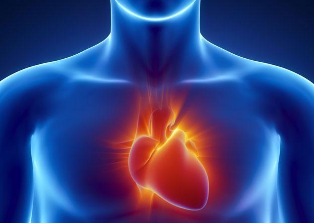 Infarto, una molecola “freno” per mettere Ko le cellule immunitarie che lo favoriscono