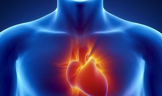 Infarto, una molecola “freno” per mettere Ko le cellule immunitarie che lo favoriscono