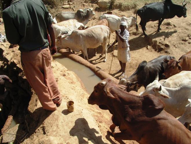 Pastori-nomadi in Etiopia costretti a modernizzarsi, le ONG indagano