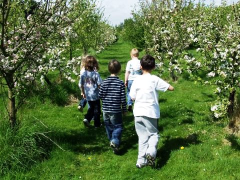 Apricot Centre, un progetto di orticoltura biodinamica in espansione