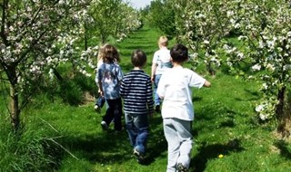 Apricot Centre, un progetto di orticoltura biodinamica in espansione