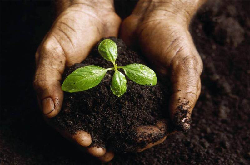 Il carcere si fa verde. A Rieti il compost è a km zero