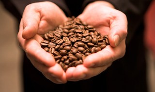 Economia circolare: dal caffè nasce il riso