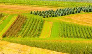 Meno fertilizzanti sui campi, più green l’agricoltura made in Italy 