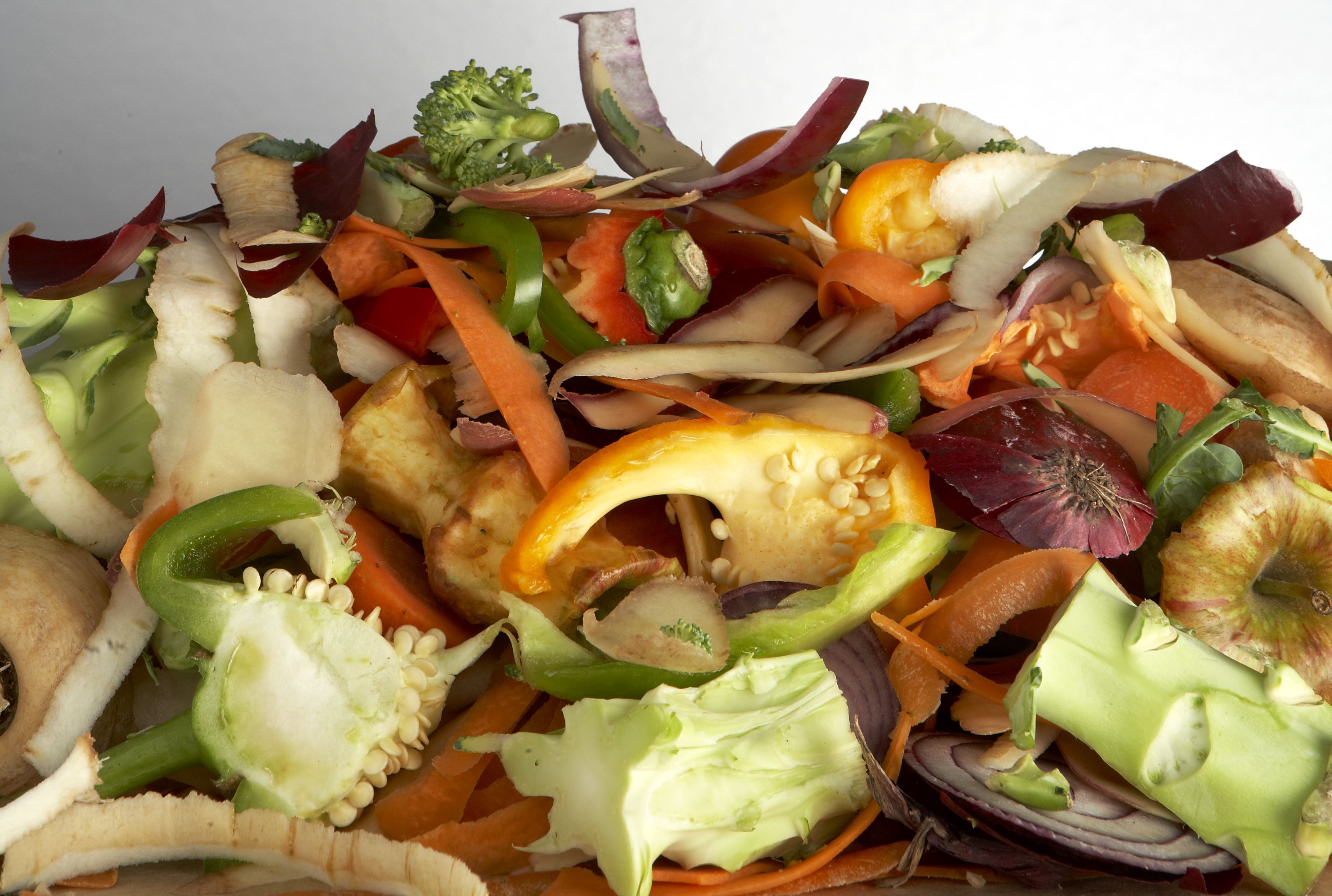 Giornata contro lo spreco alimentare, nel mondo si buttano 1,3 mld tonnellate di cibo