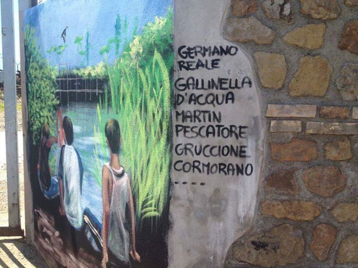 Una Roma che non ti aspetti: aironi, volpi, martin pescatori, picchi e falchi nel cuore della Capitale