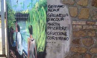 Una Roma che non ti aspetti: aironi, volpi, martin pescatori, picchi e falchi nel cuore della Capitale