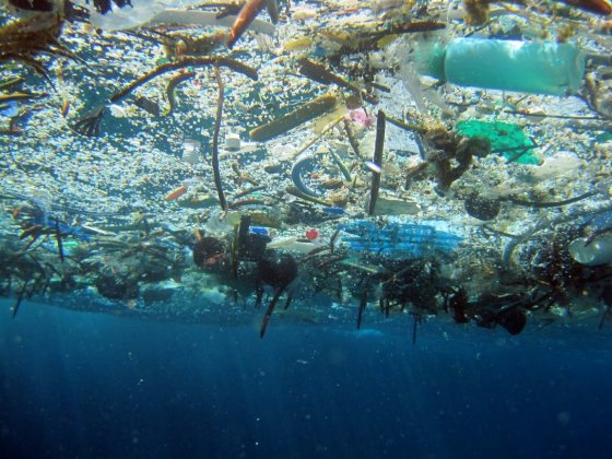 Discarica mare, SOS plastica che rischia superare in quantità i pesci