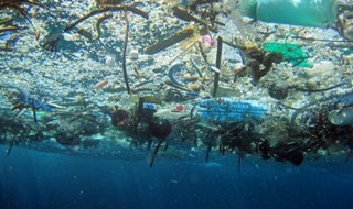 Discarica mare, SOS plastica che rischia superare in quantità i pesci