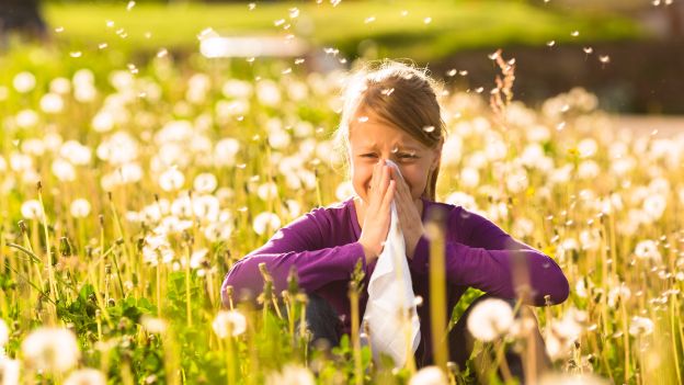 Allergie in agguato: dieci regole per proteggersi