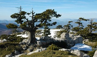 La cassaforte verde della Calabria messa in sicurezza