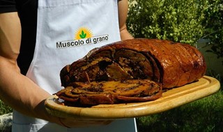A Expo 2015, il "muscolo vegetale" made in Italy