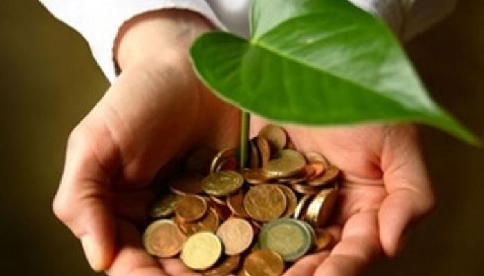 Hai un’idea green e cerchi fondi per realizzarla? Ecco GreenFunding