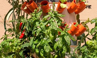 Orti sul balcone: nasce quello verticale