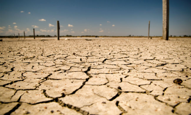 Estate bollente. Ma il 2016 potrebbe essere il più caldo