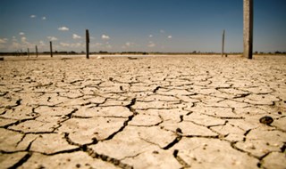 Estate bollente. Ma il 2016 potrebbe essere il più caldo