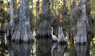 Ecosistemi, fonte di ricchezza “invisibile”