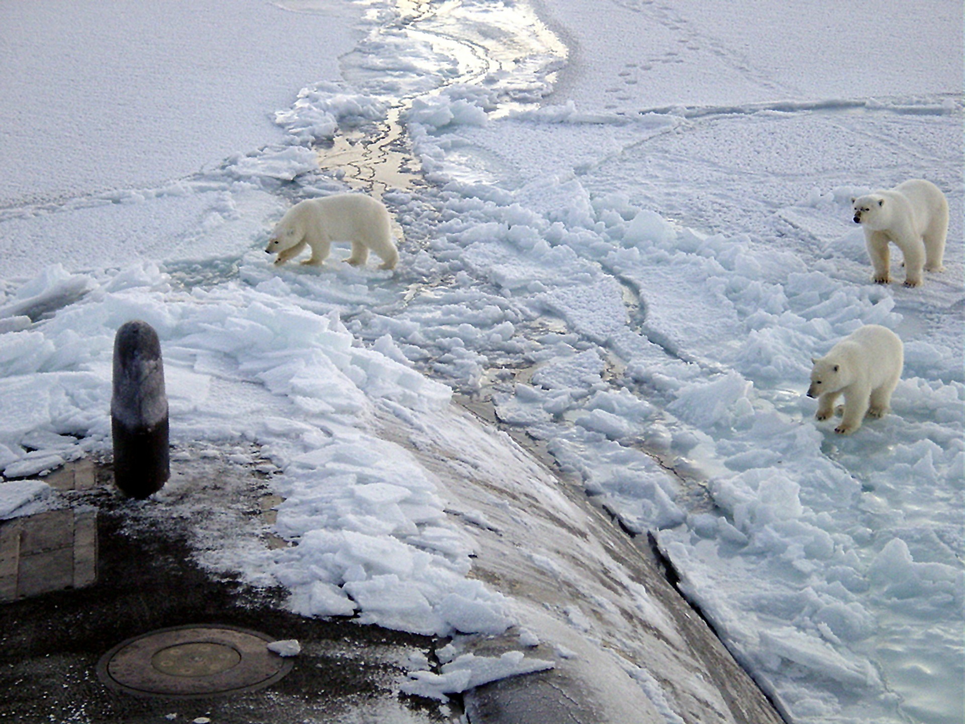 Il passaggio a nord-est più breve, ma a impatto clima