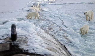 Il passaggio a nord-est più breve, ma a impatto clima