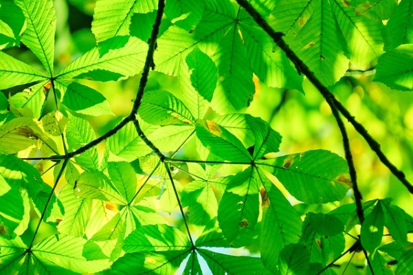 Eco-comunicazione, come valorizzare lo sviluppo sostenibile dei territori