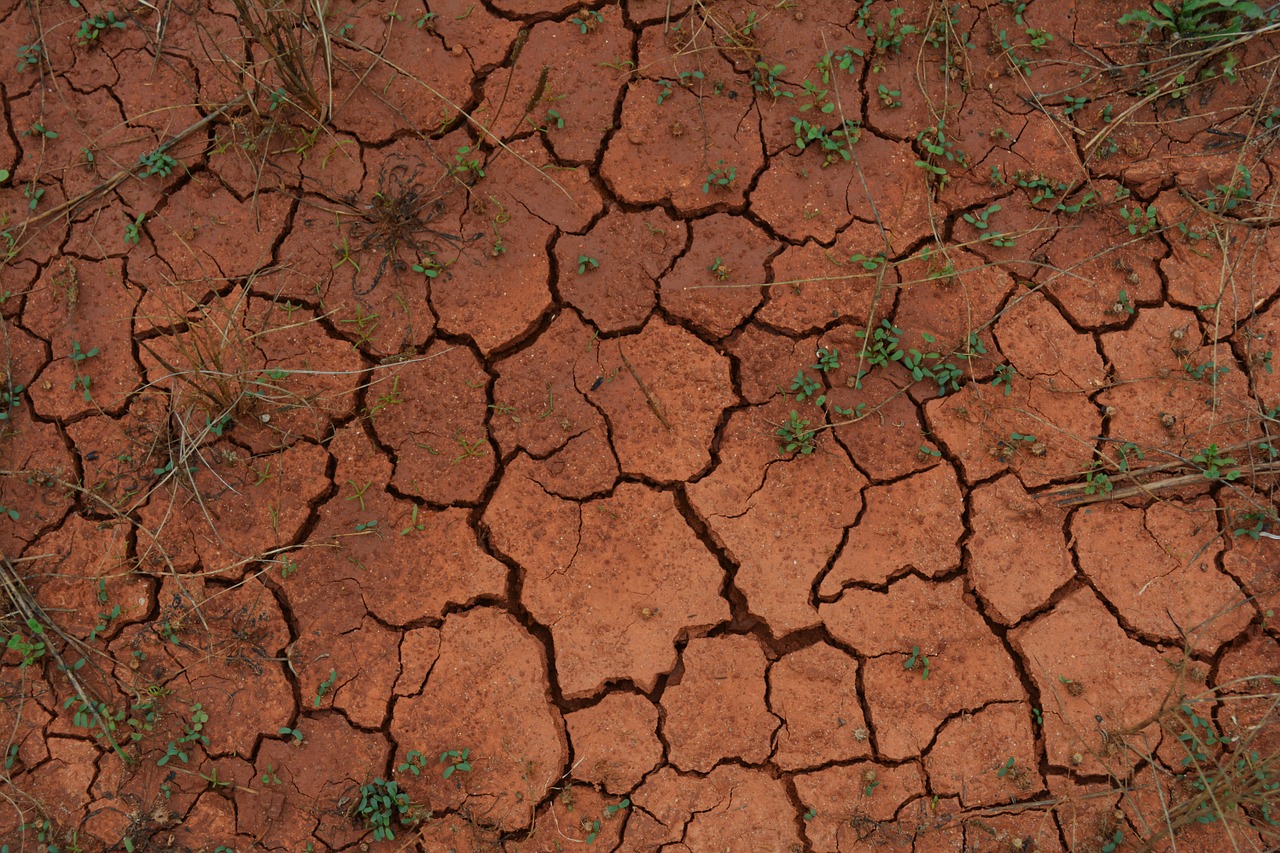 I cambiamenti climatici irrompono nell’agenda di Davos