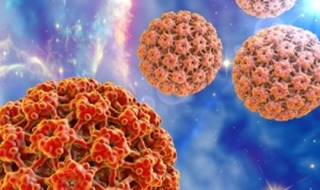 Papilloma Virus: gli uomini 5 volte più a rischio delle donne