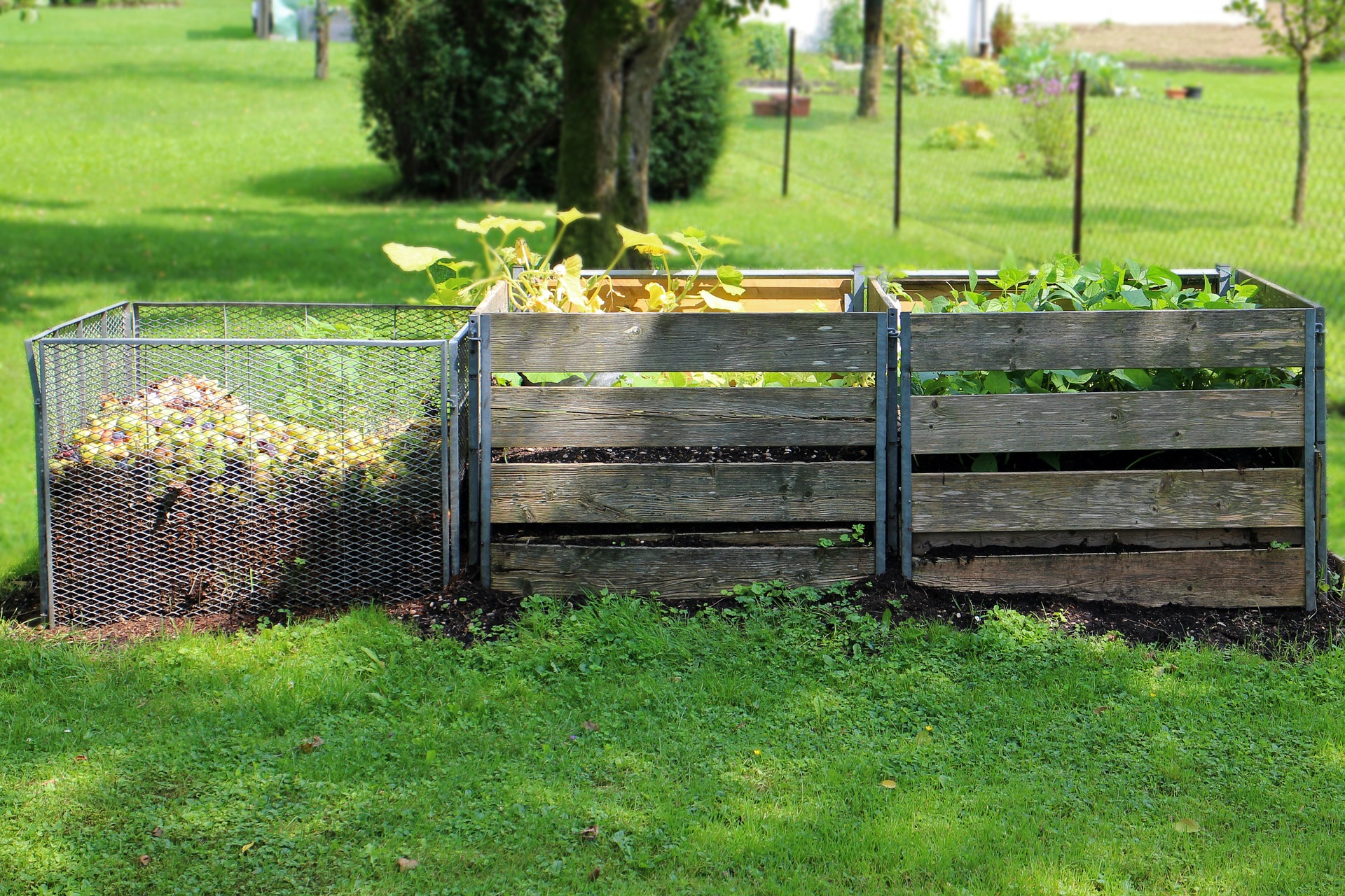 Raccolta dell’organico, ecco come realizzarla per un compost di qualità