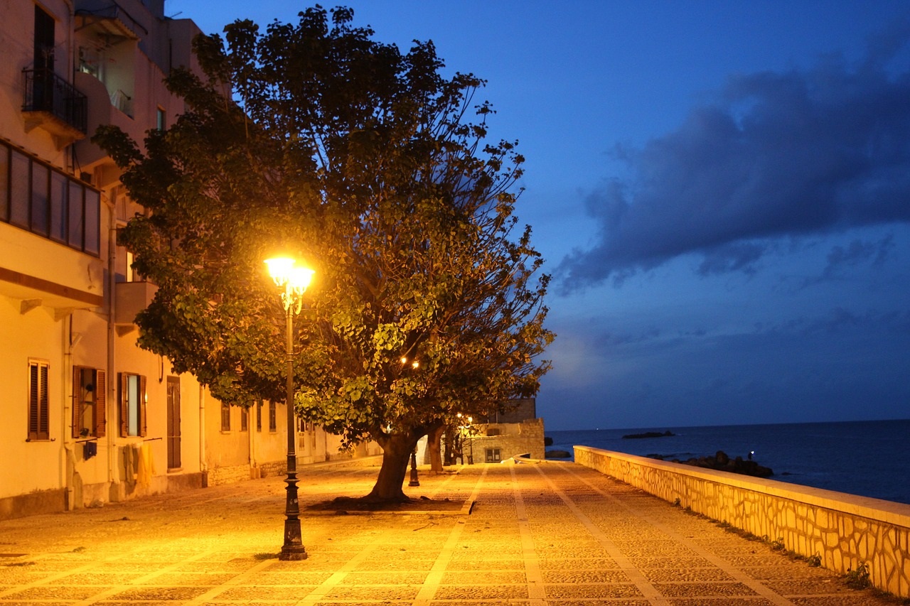 Accecati dalla luce anche di notte e le piante soffrono 