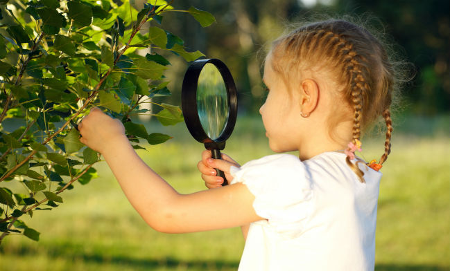 Come l'educazione ambientale a scuola crea le generazioni di domani