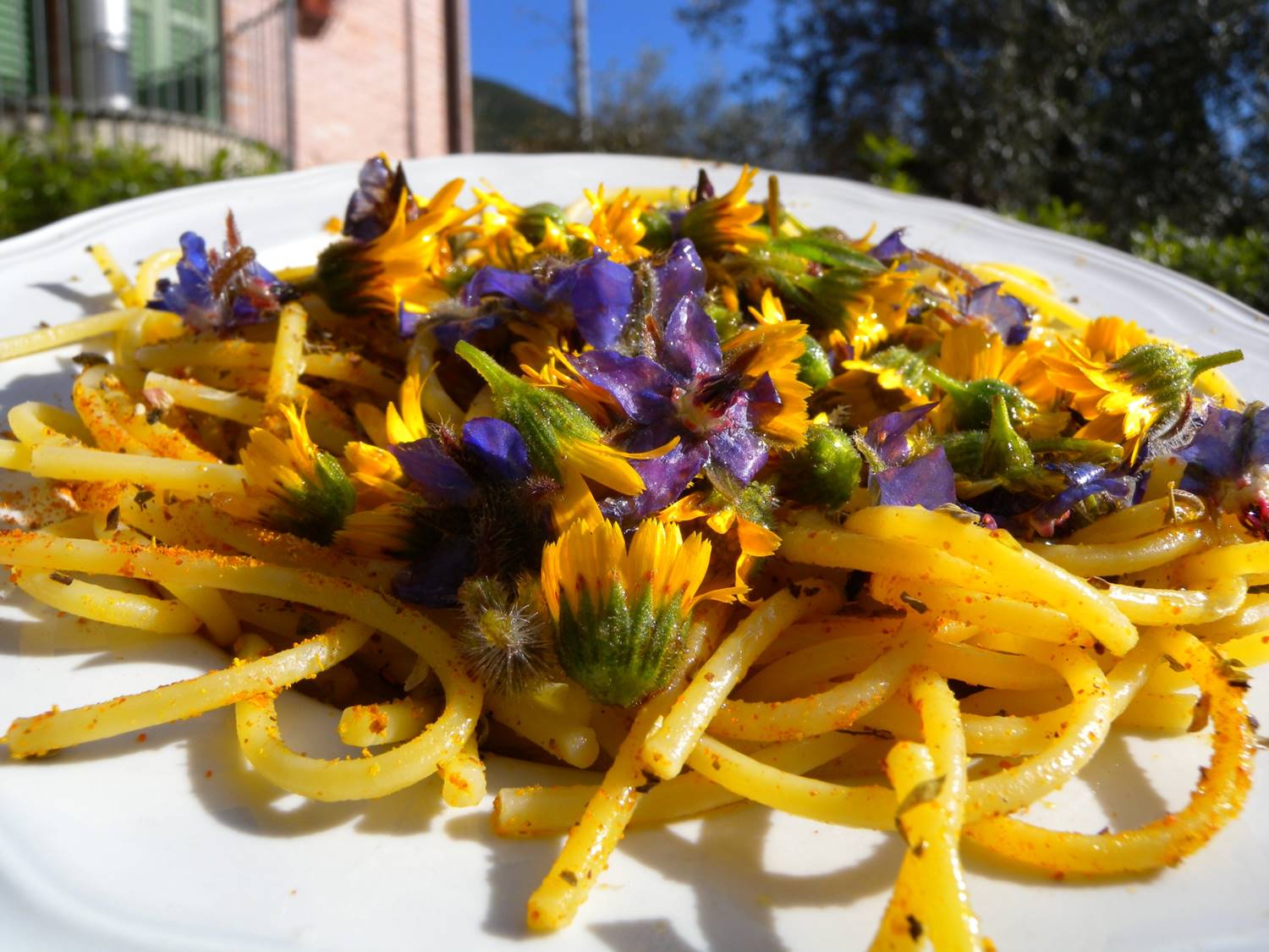 Il fiore è servito, un nuovo ingrediente per le diete del futuro 