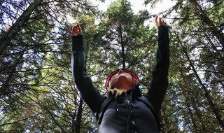 Le foreste ricchezza nazionale