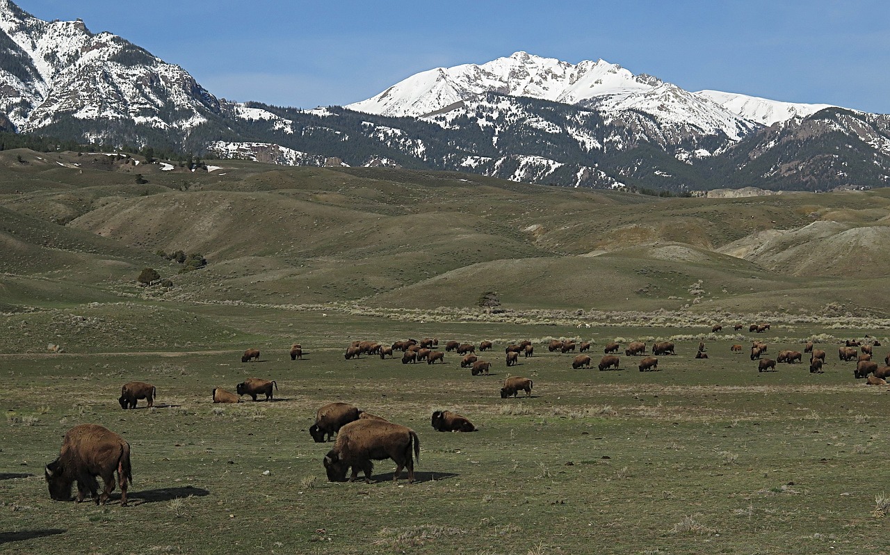  Una etichetta per valorizzare i sapori di Montagna