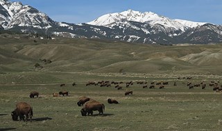  Una etichetta per valorizzare i sapori di Montagna