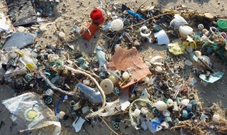 Plastica nel Mediterraneo, costa toscana la più colpita