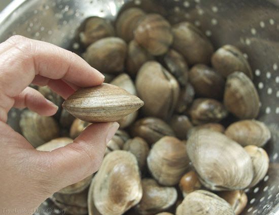 Mari “acidi” per troppa CO2, a rischio la produzione di molluschi